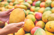 FSSAI warns against using Calcium Carbide; how to identify artificially ripened mangoes