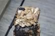 Man dies as his phone blows up while talking