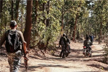 71 Naxalites carrying collective bounty of Rs 64 lakh surrender in Chhattisgarh’s Dantewada