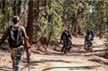 Two Naxalites gunned down in encounter with security forces in Chhattisgarh