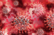 Disease X could bring next pandemic, kill 50 million people, says expert