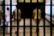 Mobile phone found in prisoner’s stomach in Shivamogga Central Jail