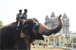 Mysuru Dasara: Prashantha to be lead elephant carrying golden howdah in Vijayadashami procession