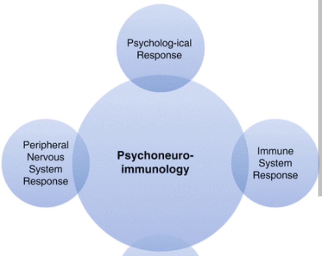 Psychoneuroimmunology: Why Stress, Emotions, and Immunity Are Never Separate