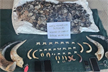 Wildlife smuggling racket busted in Karnataka; two held