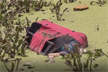 Bengaluru: Elderly woman&rsquo;s body found stuffed in suitcase, dumped into lake