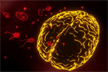 Kerala infant among two dead from from amoebic meningoencephalitis