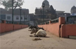 After VHP rally plans, Muslim petitioner says 