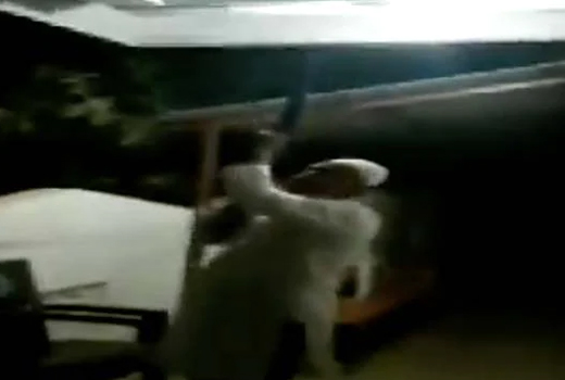 Karnataka: Man fires gun after tenant attacks him over unpaid rent in Chikodi