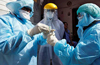 Life-threatening fungal infection reported in several COVID-19 patients in India