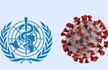 Why WHO must be partly Blamed for Coronavirus Global Pandemic