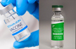 Union govt expert panel recommends regular market approval for Covishield, Covaxin