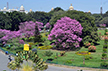 Karnataka Cabinet Approves Bill to Allow Use of portion of Park Land for Infrastructure