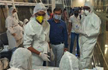 COVID-19 cases in India climb to 834, Death toll reaches 19