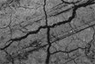 Karnataka: Mild 3.5-magnitude earthquake jolts Vijayapura district