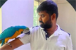 Bengaluru man electrocuted while trying to save pet parrot worth 2.5 lakhs