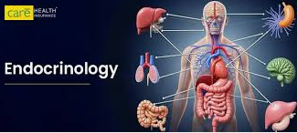 Endocrinology and Hormone Health Solutions