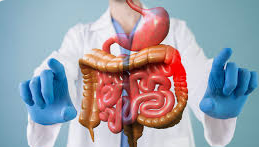 Foundations and Scope of Gastroenterology