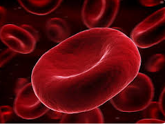 Hematology Advancing Blood Health and Treatment