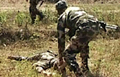 3 Maoists killed in police encounter in Odishas Malkangiri