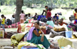 15 days enough time for states to send migrant workers home: Supreme Court