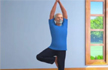 PM Modi shares yoga videos, urges people to remain fit during coronavirus lockdown