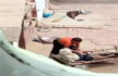 Haryana woman booked after her video thrashing 80-yr-old mother-in-law