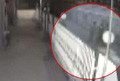 Stones Thrown at Church Near Mumbai, Police Case Filed