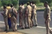Odisha: 10 Chopped palms, suspected to be of tribals recovered
