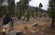 Ex-officers of Pakistan Army trained terrorists at Balakot camp
