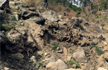 Pakistan to lodge UN complaint against India for ’Eco-Terrorism’ Forest bombing