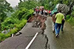 5.2-magnitude quake jolts Manipur, Meghalaya; no casualty so far