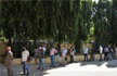 10% of world’s people may have been infected with virus: WHO