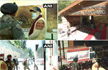 PM Narendra Modi inaugurates Atal Tunnel in Rohtang