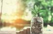 Goverment borrows big from small savings to fund deficit