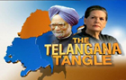 Telangana: Dont split, Andhra Cong leaders urge Sonia