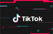 It Encourages Pornography: Madras High Court Asks Government to Ban Video App TikTok