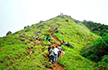 Karnataka Introduces SOP to Regulate Trekking, Eco-Trails in Forests