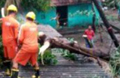Cyclone Vardah: 10 dead, 266 relief centres opened