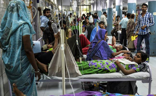 Delhi-dengue_p...