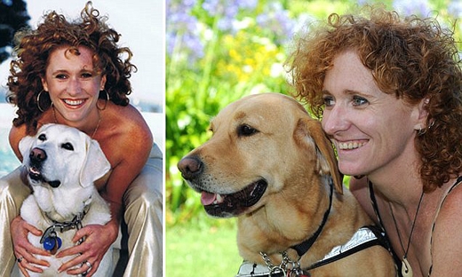 Lisa_Reid_dogs...