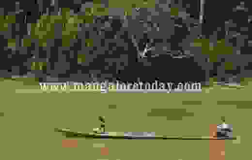 Paul Rosolie, a renowned Amazonian explorer in Mangalore