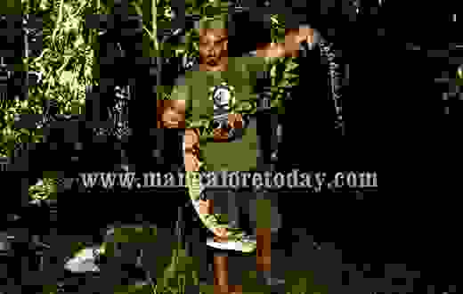 Paul Rosolie, a renowned Amazonian explorer in Mangalore