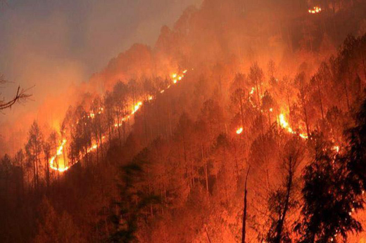 Uttarakhand_1.jp