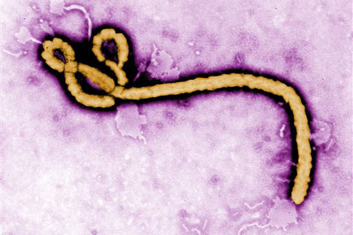 ebola_