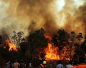 fire_7