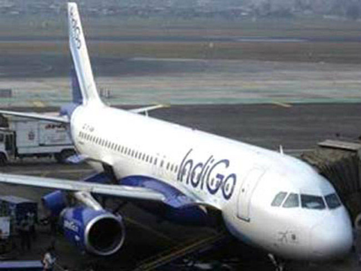 indigo
