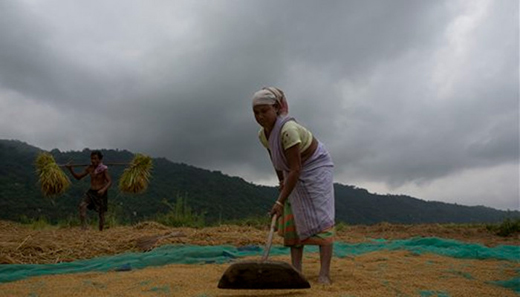 kerala