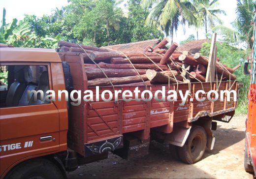 Sandalwood seized2