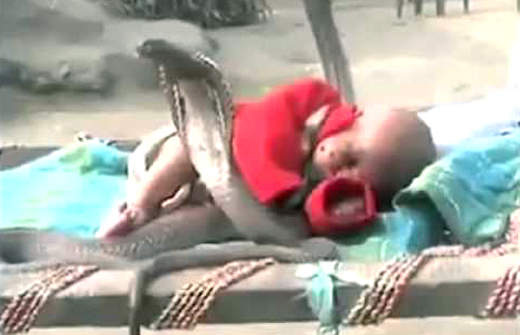snake-baby-3